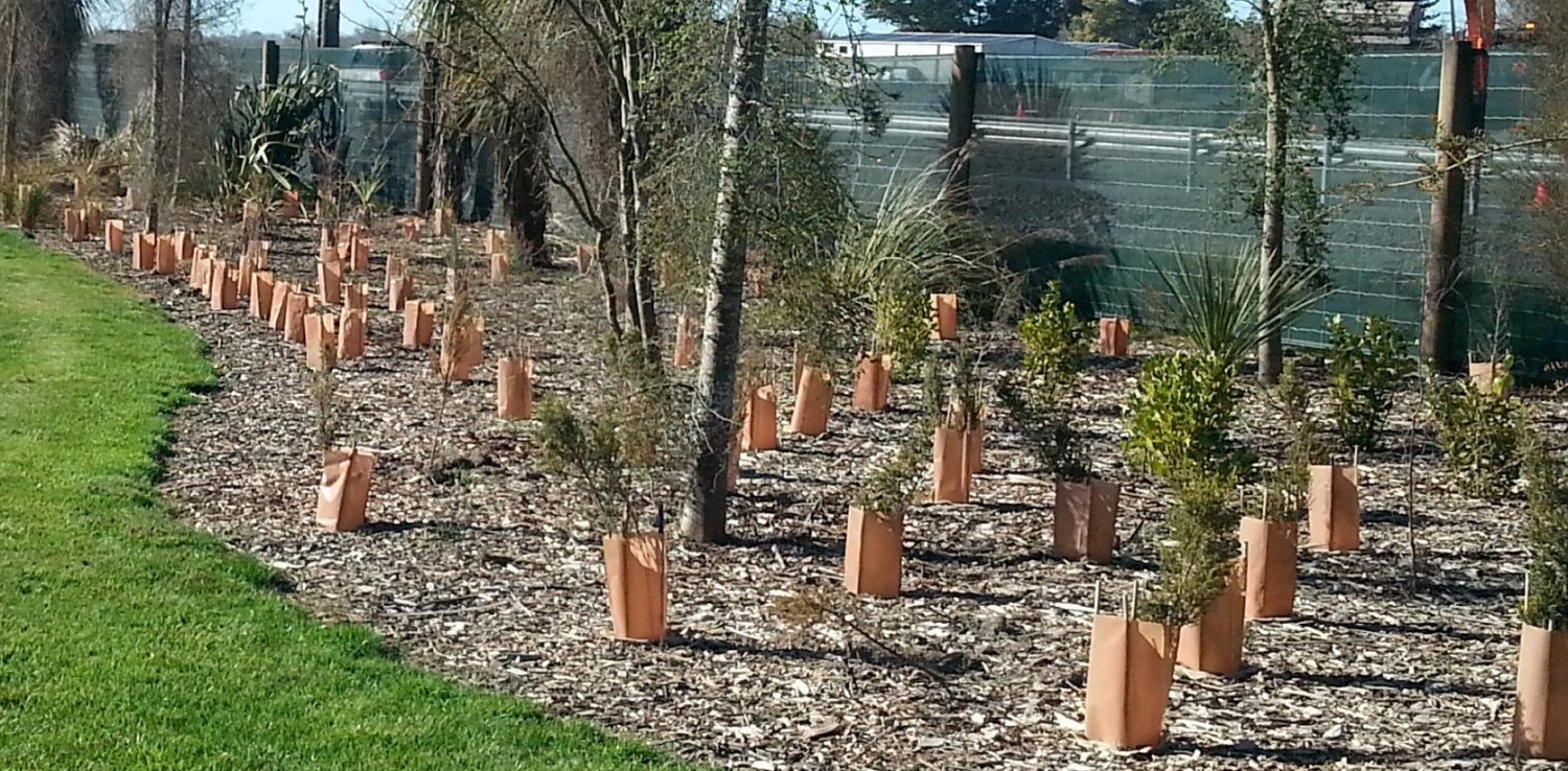 Spray Guards Manufacturers New Zealand. Spray Guard Plant protection.